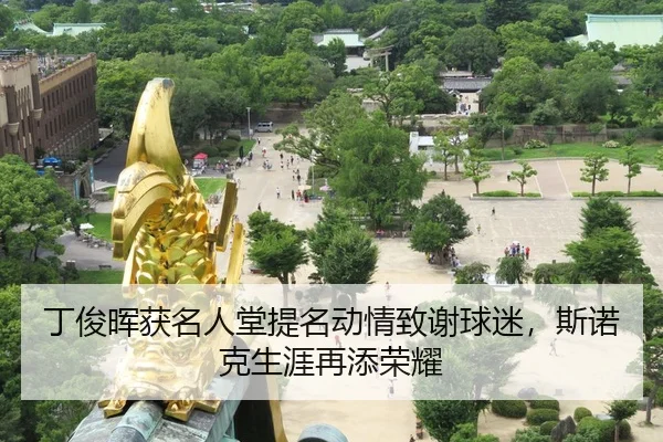 ding-jun-hui-huo-ming-ren-tang-ti-ming-dong-qing-zhi-xie-qiu-mi-si-nuo-ke-sheng-ya-zai-tian-rong-yao-1-175.jpg