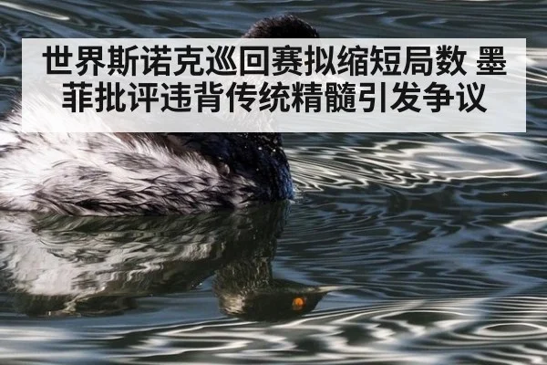 世界斯诺克巡回赛拟缩短局数 墨菲批评违背传统精髓引发争议